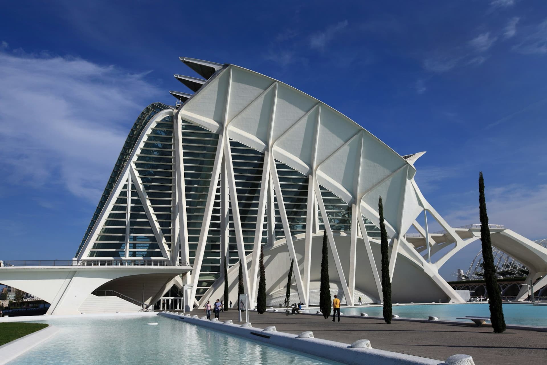 Science Museum Valencia Ticket - image 2